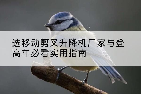乌拉特前旗电动升降机厂家-选移动剪叉升降机厂家与登高车必看实用指南