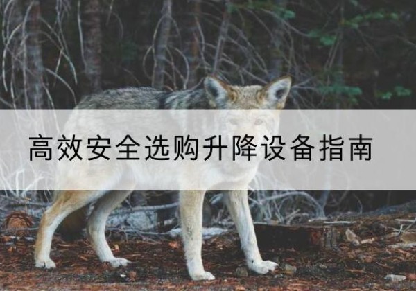 乌拉特前旗升降货梯厂家推荐-*安全选购升降设备指南
