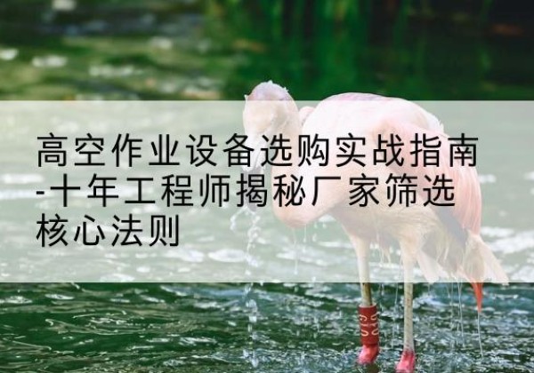 乌拉特前旗剪叉式升降机厂家-高空作业设备选购实战指南-十年工程师揭秘厂家筛选核心法则